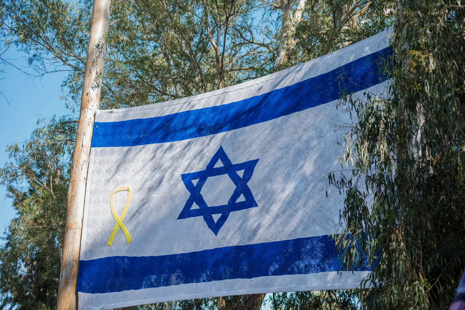 תמונה מתערוכת הסריגה